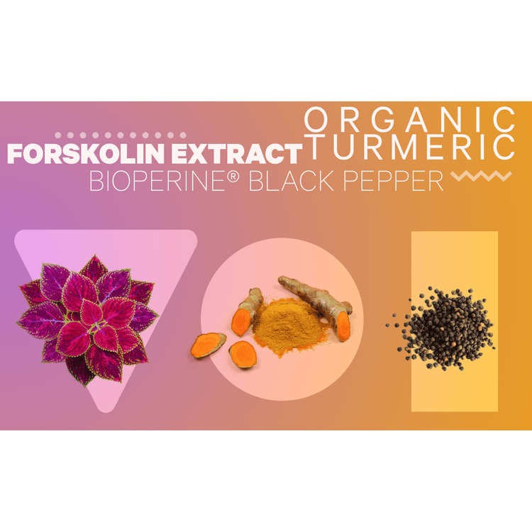 Codeage Antioxidant Forskolin Turmeric Supplement