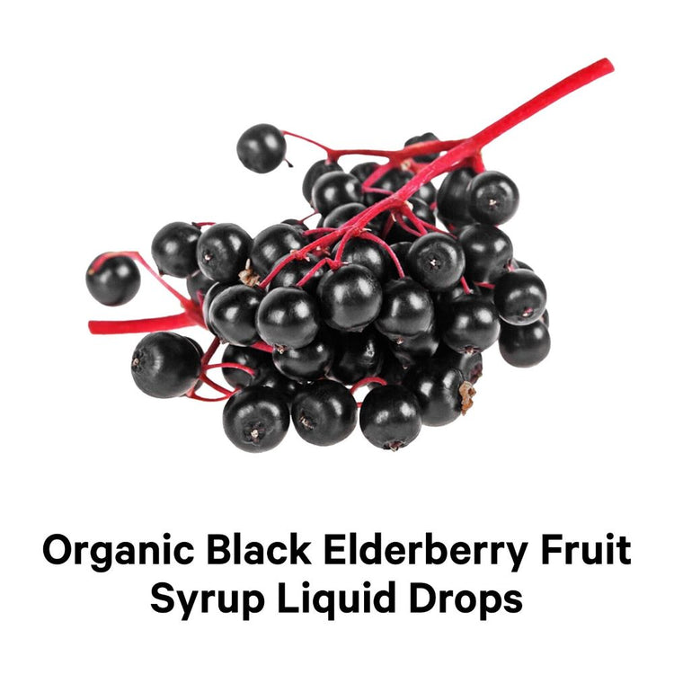 Codeage Organic Black Elderberry Blend