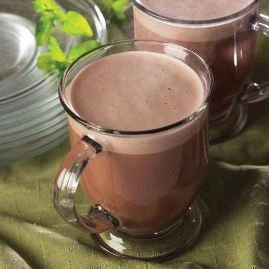 BariatricPal Hot Chocolate Protein Drink - Mint