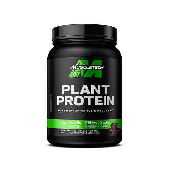 Plant Protein