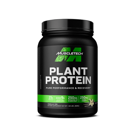 Plant Protein